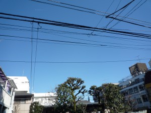 P1010086