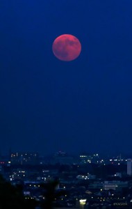 IMG_4306