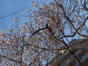 IMG_5213